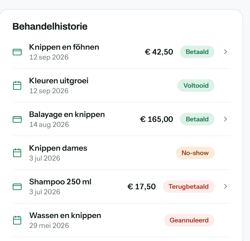 De behandelhistorie van een klant met bedragen en betaalstatus